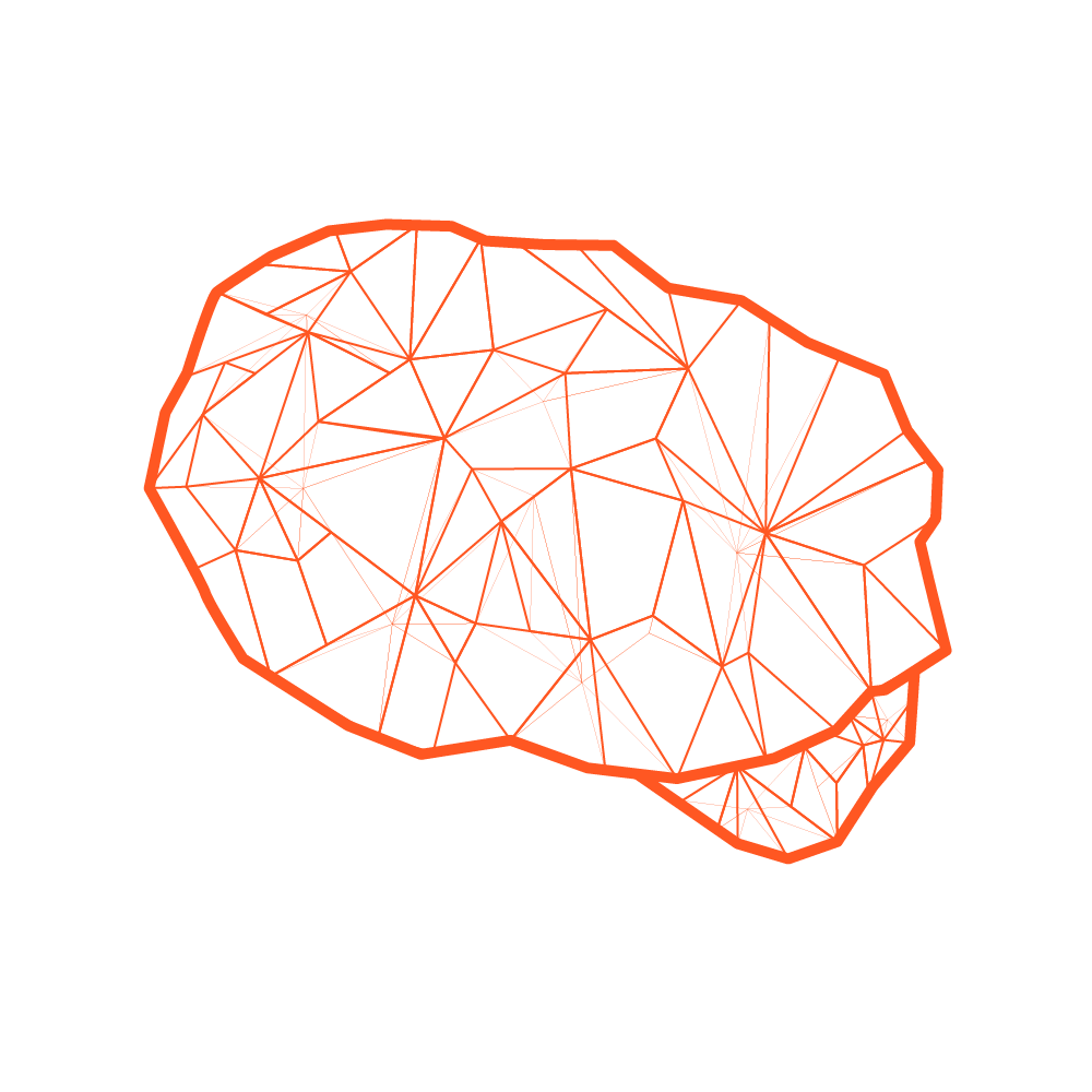 Brain Illustration